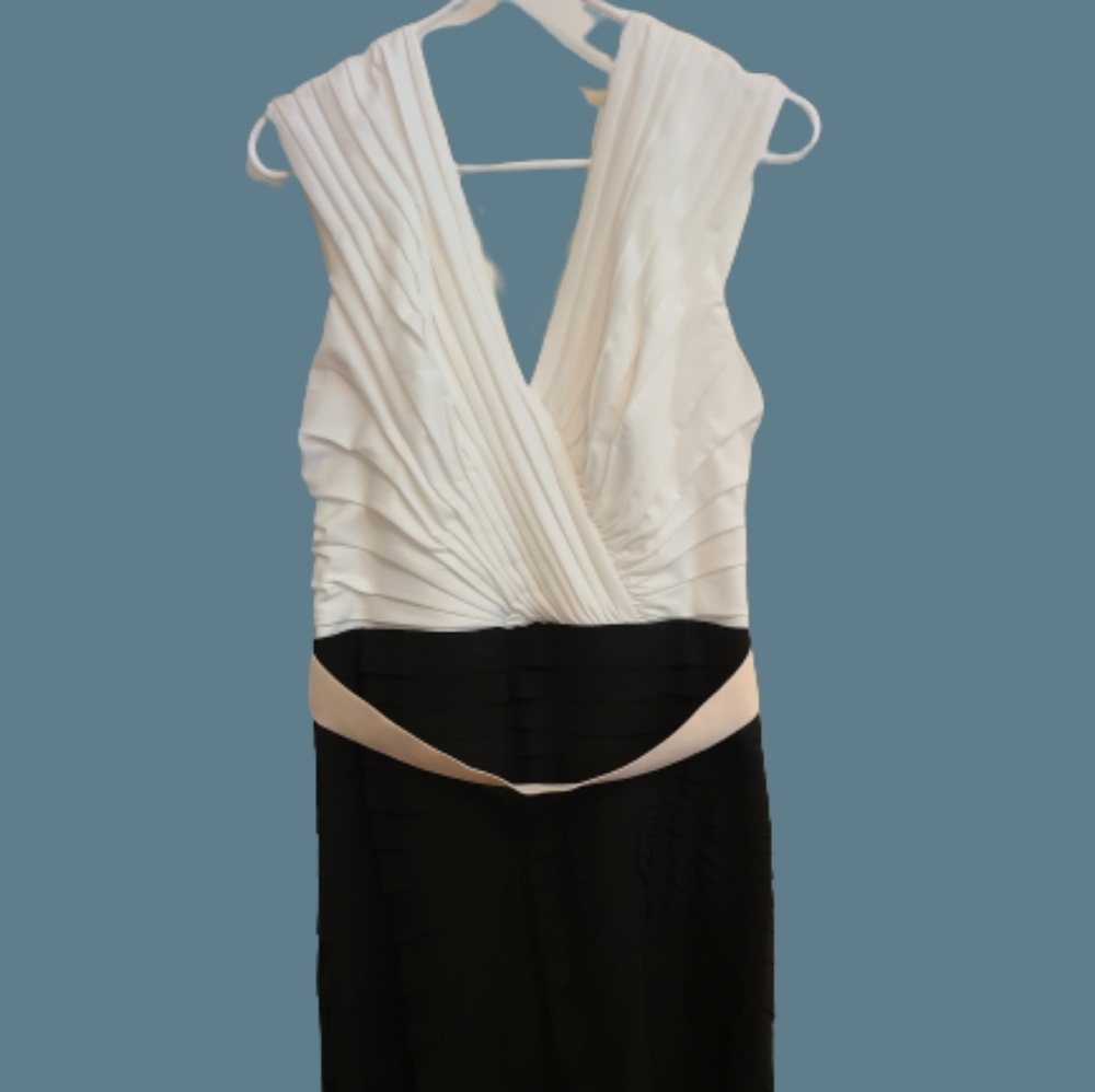 Tadashi Shoji, Special Occassion Dress